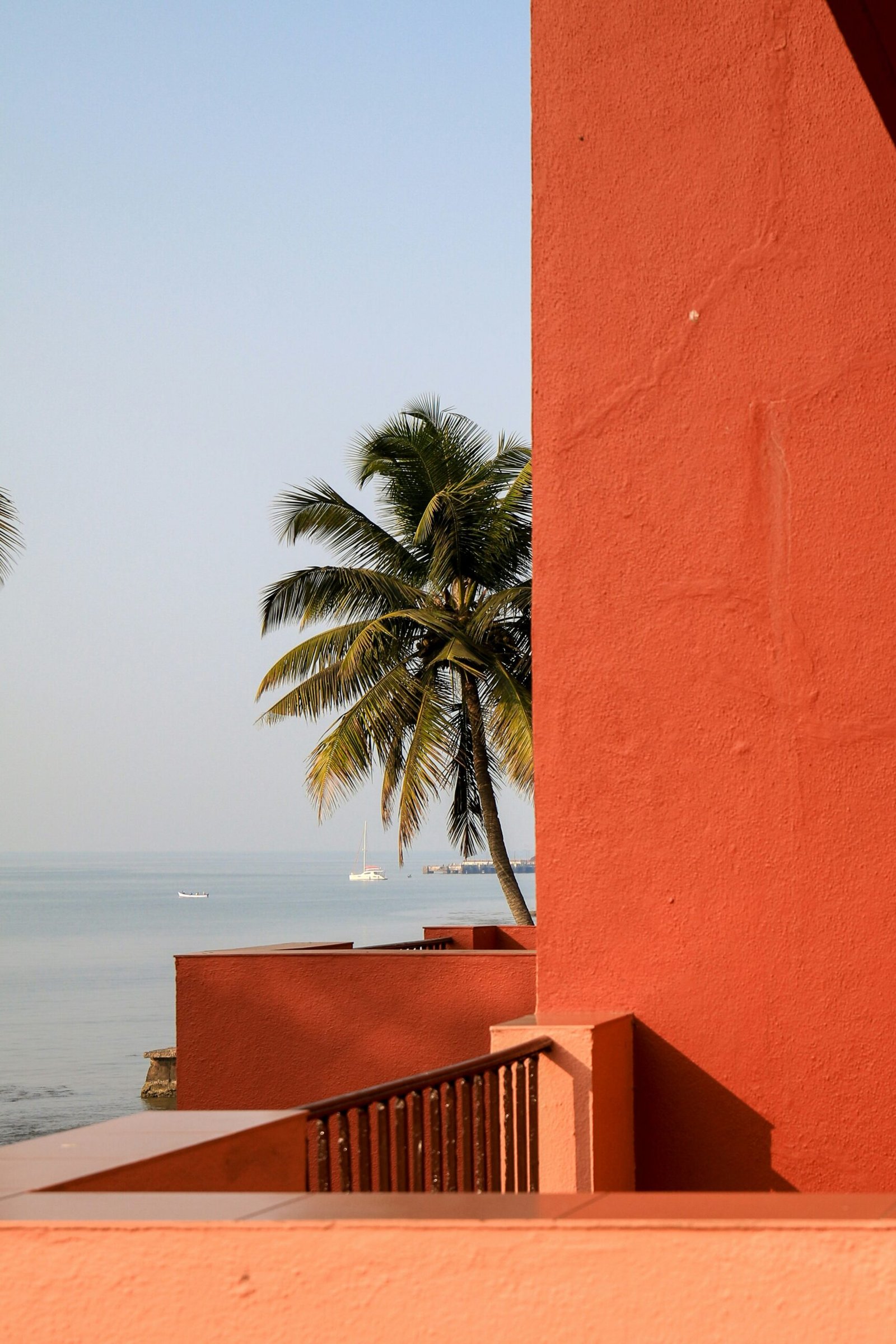 a view of the ocean and a palm tree